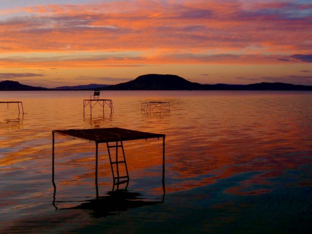 Balatonfenyvesen a partt�l 300 m�terre!