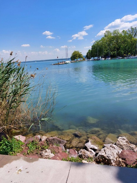 Balatonfreden kiad laksok s szobk