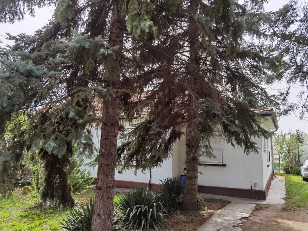 Balatonf�zf� csal�di h�z elad� 