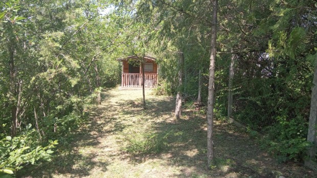 Balatonf�zf� �d�l�telek