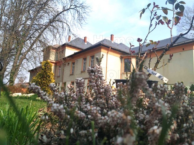 Balatonf�zf�n kast�ly villa �p�let 4 szintes 20 szoba fel�j�tott