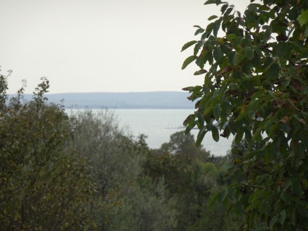 Balatonfzfn rszpanorms nyaral elad