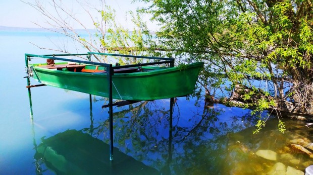 Balatonkenesn csnak elad