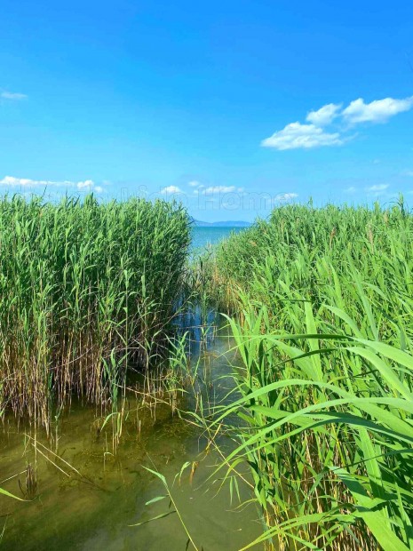 Balatonmáriafürdőn kiváló adottságú, vízparti telek