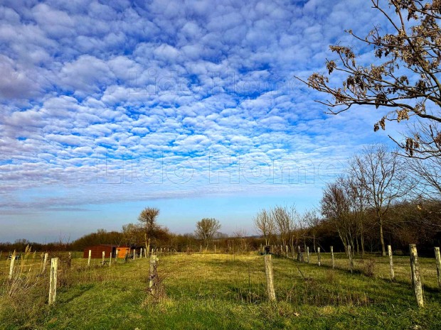 Balatonszdn belterleti ptsi telek hztervekkel elad!