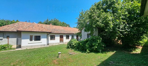 Balatonszdn csaldi hz elad