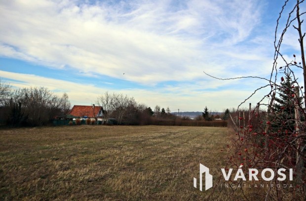 Balatonra rszpanorms zrtkert elad !