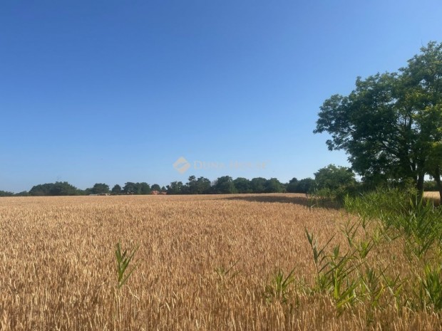 Balatonszabadii elad� 4000 nm-es telek