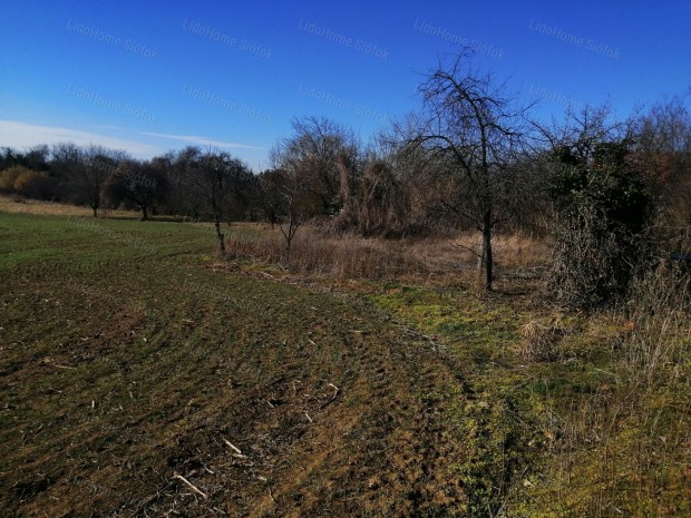 Balatonszrszi befektetsi terlet