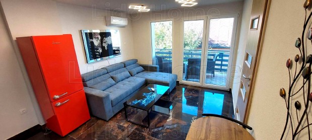 Balatonsz�rsz�n v�zk�zeli fel�j�tott nyaral�