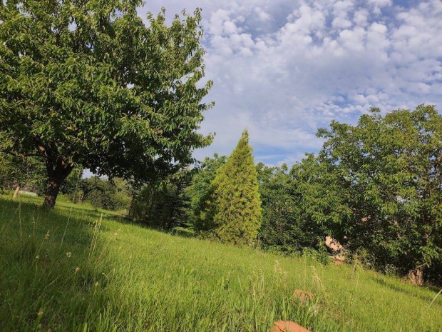 Balatontl 10 percre, csods krnyezetben telek elad