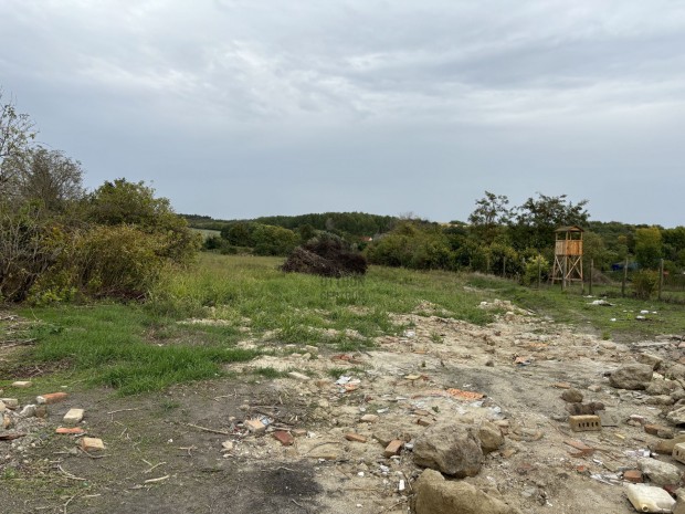 Balatontl 7 km. tvolsgra, Csajg kzpontjban, nagy mret ptsi