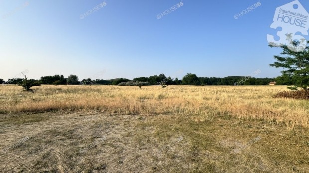 Ball�sz�g�n �p�t�si enged�llyel �s tervekkel �p�t�si telek elad�!