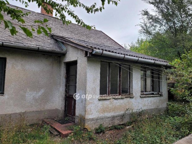 Balmaz�jv�rosi 5371 nm-es telek elad� #5131771