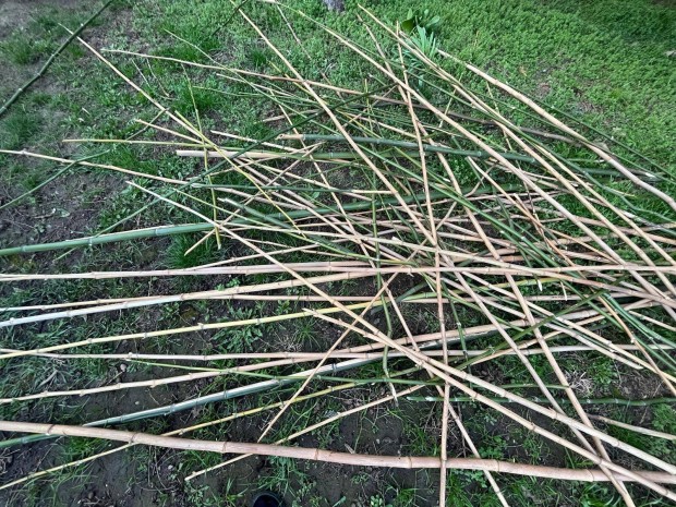 Bambusz botok es karok eladok