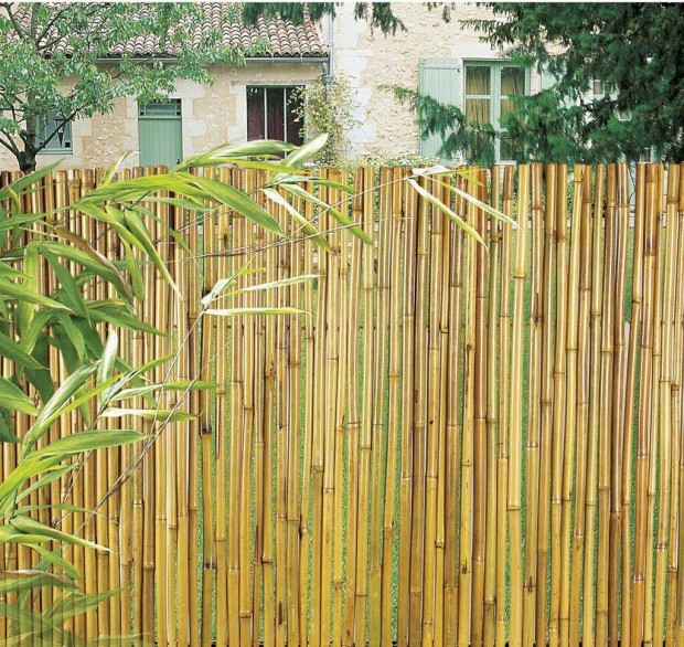 Bambusz szl orszgos ingyenes szlltssal, csomagban elad, 1,2 m m