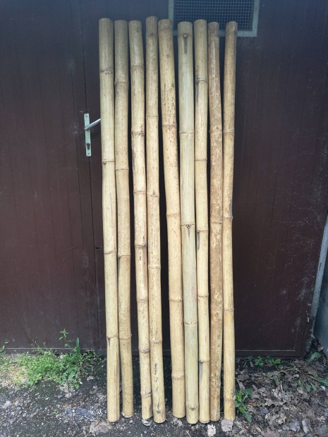 Bambusznd 10cm tmrj 220cm 9db elad