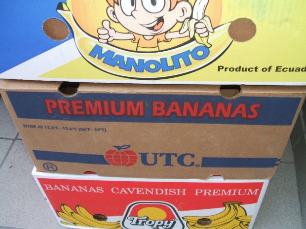 Bannos doboz, karton
