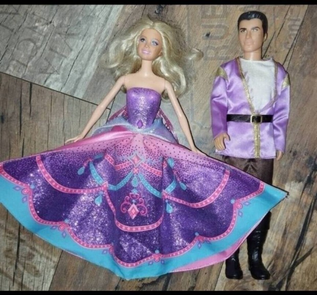 Barbie  s Prince Ken 