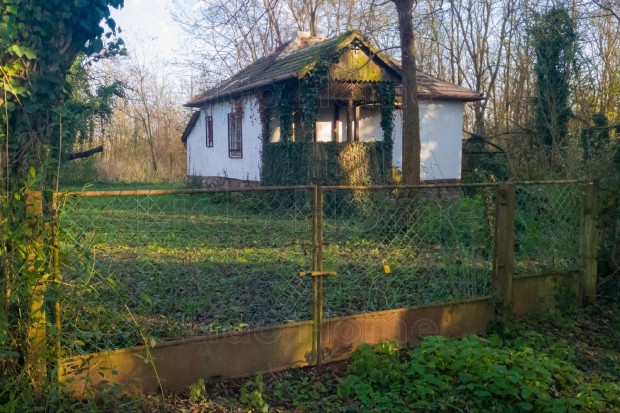 Bárdudvarnok külterületén, természetközeli hétvégi ház eladó