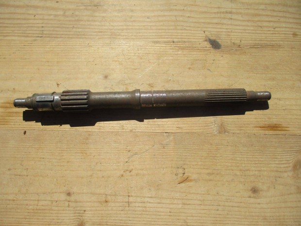 Barkas nyelestengely, gyri j
