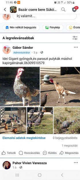 Baromfi mshol kapirglna.