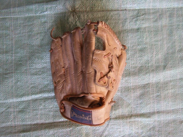 Baseball kesztyű. Spalding 42-951, baseball kesztyű