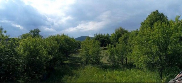 Bask�n 2111 m-es telek elad� gy�ny�r� term�szeti k�rnyezetben