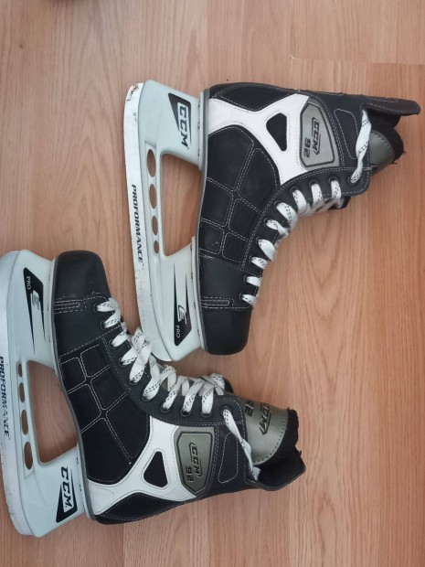 Bauer s CCM frfi kotcsolya 44