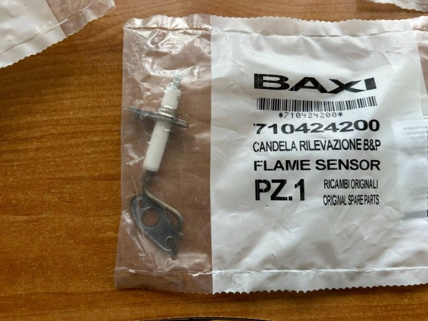 Baxi elektrda (ionizci)