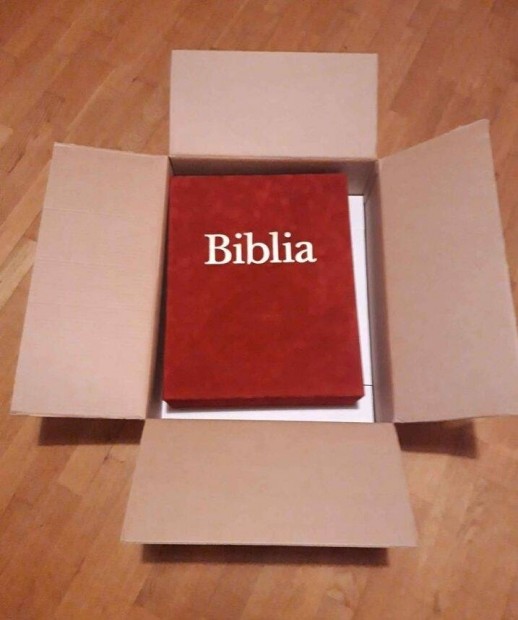 Bcsi Biblia 