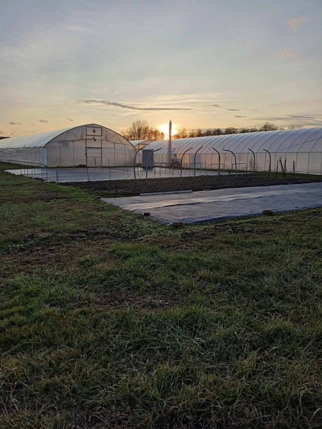 Be�p�thet� belter�leti ingatlan- ig�nyes kert�szettel