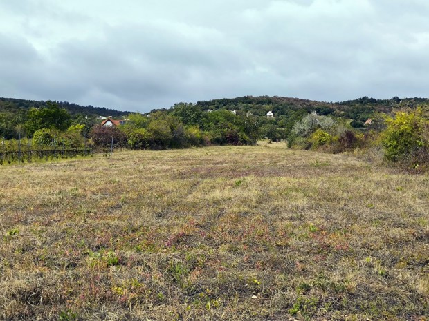 Bepthet telek Vszolyon Balatoni panormval elad