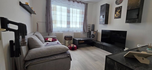 B�ke v�rosr�sz 2 szob�s, erk�lyes, panel lak�s elad�