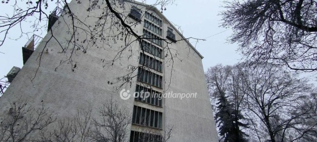 B�k�scsabai 38 nm-es lak�s elad�