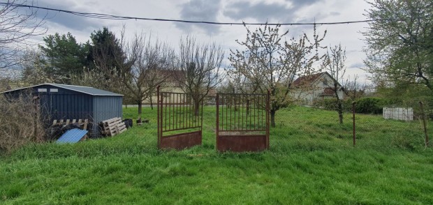 Békéscsabán 810 m2-es zártkert eladó!