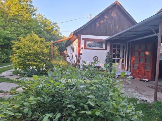 B�k�si elad� 65 nm-es h�z