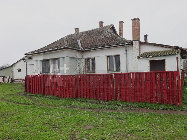 B�k�ss�msoni lehet�s�g, Csokra alkalmas