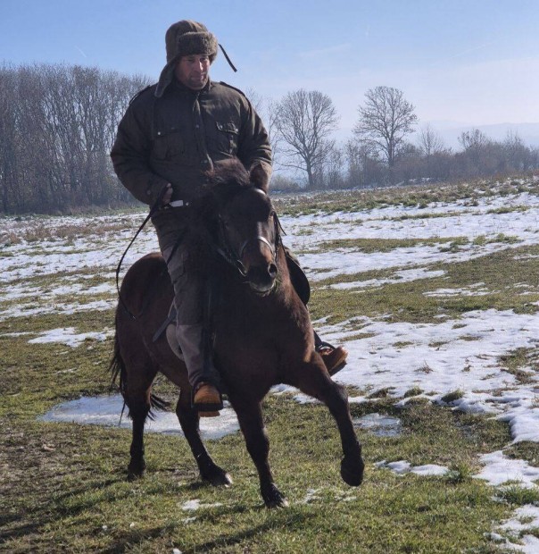 Bekocsizott, lovagolhat pni