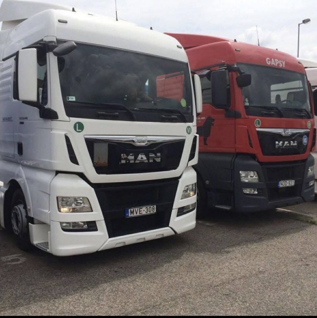 Belf�ldi g�pkocsivezet�i �ll�s C, E jogos�tv�nnyal