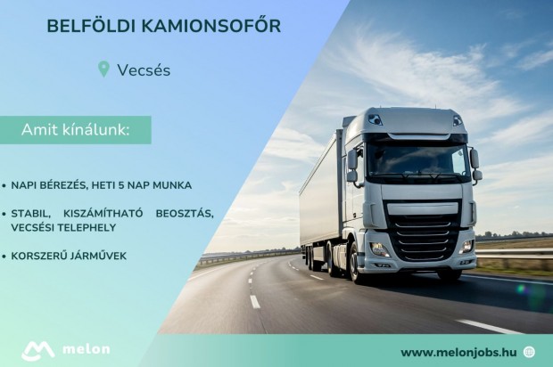 Belföldi kamionsofőr
