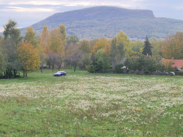 Belterleti, Badacsonyra panorms res, kzmves ptsi telek