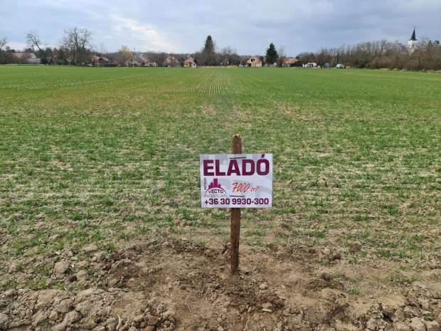 Belter�leti f�ldter�let (kivett) Kemenesmih�lyfa. Elad�!