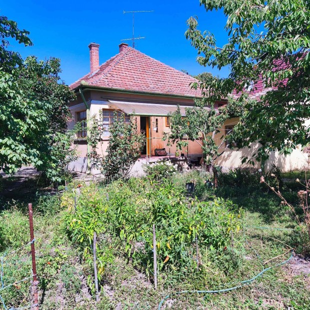 Belv�rosi h�z elad� Szolnokon