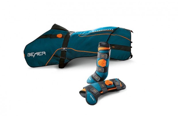 Bemer Horse Set