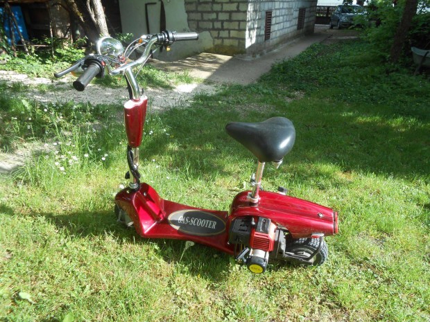 Benzines roller scooter