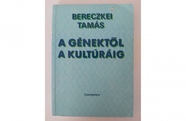 Bereczkei Tams: A gnektl a kultrig