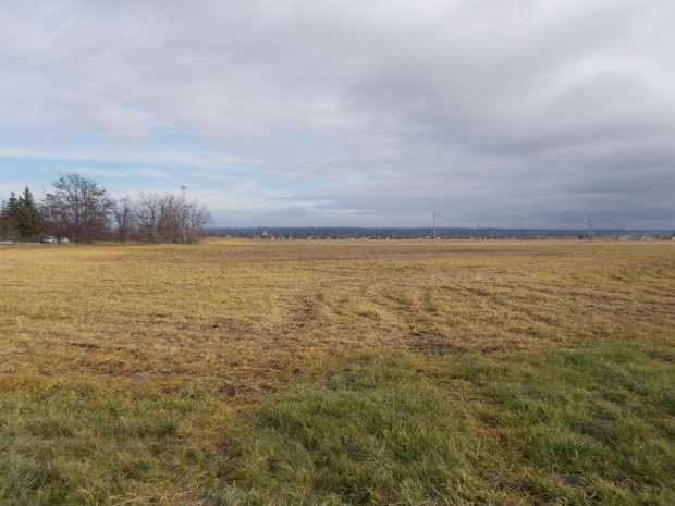 Berhida sz�nt� elad�!