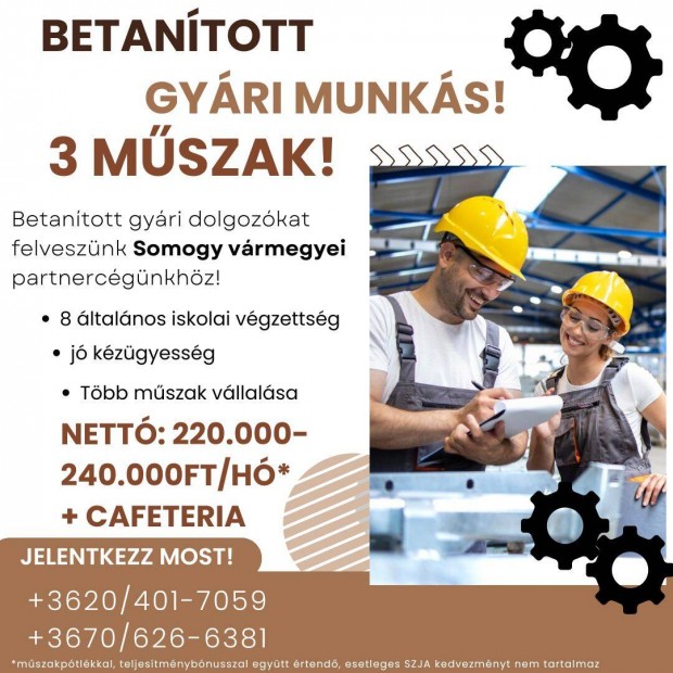 Betantott gyri munkalehetsg Somogy vrmegyben!