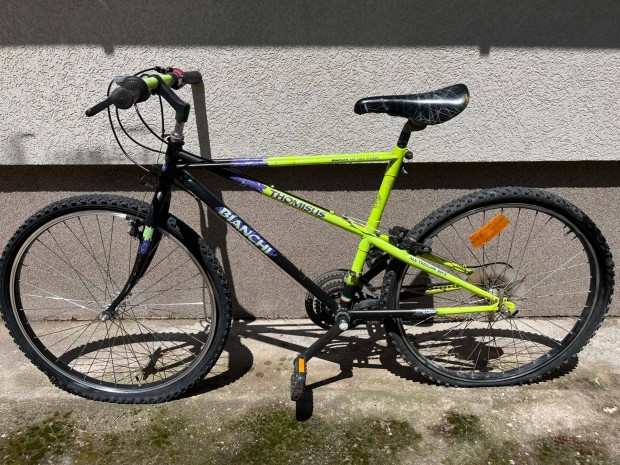Bianchi Ragno Thomisus all terrain 90'